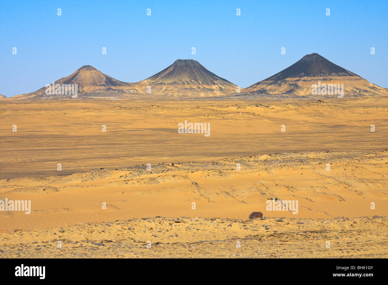 Egypte Afrique Désert Noir désert Occidental Banque D'Images