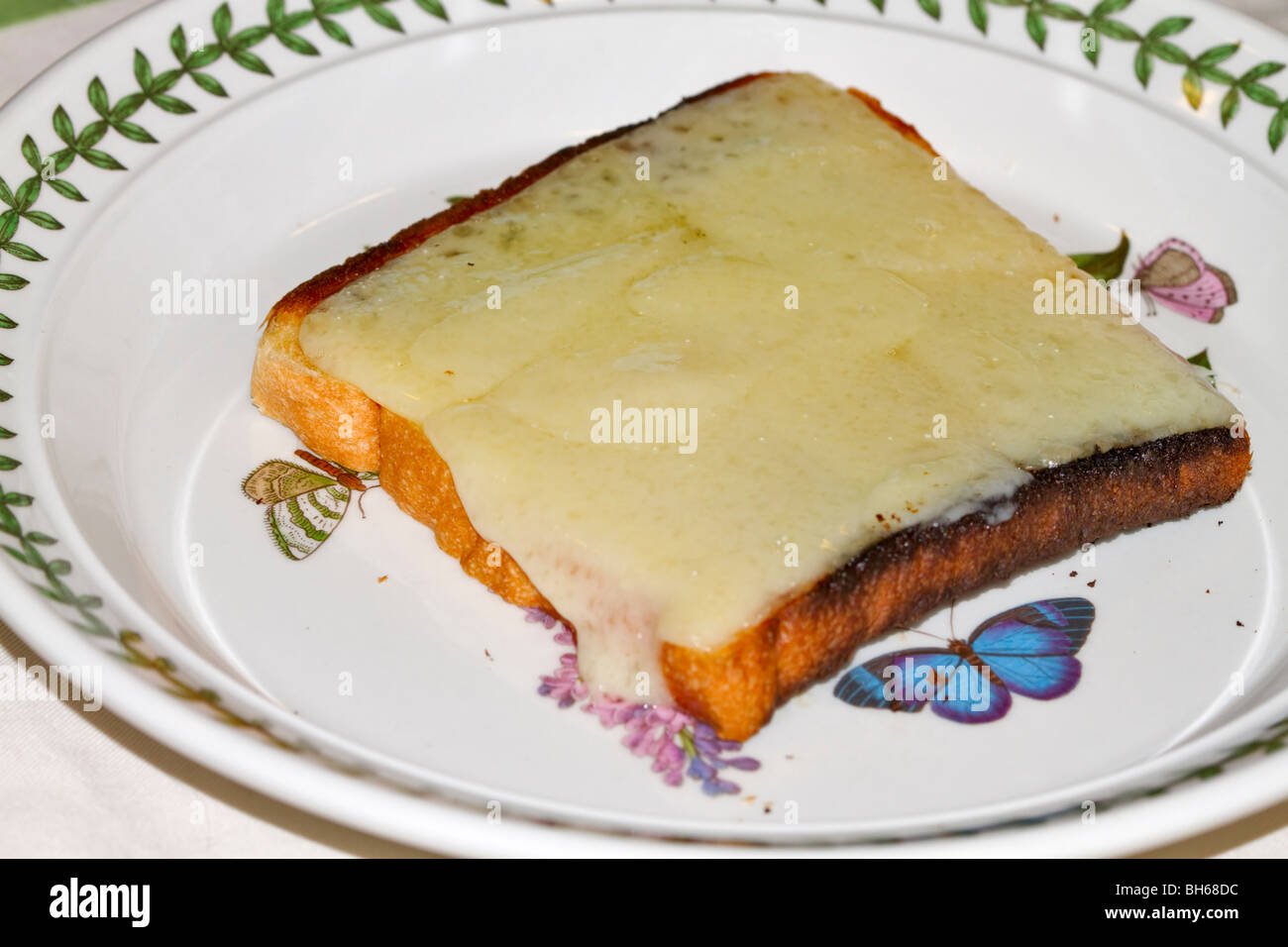 Le fromage sur le pain grillé. Fromage Gruyère fondue sur un morceau de pain blanc grillé. Banque D'Images