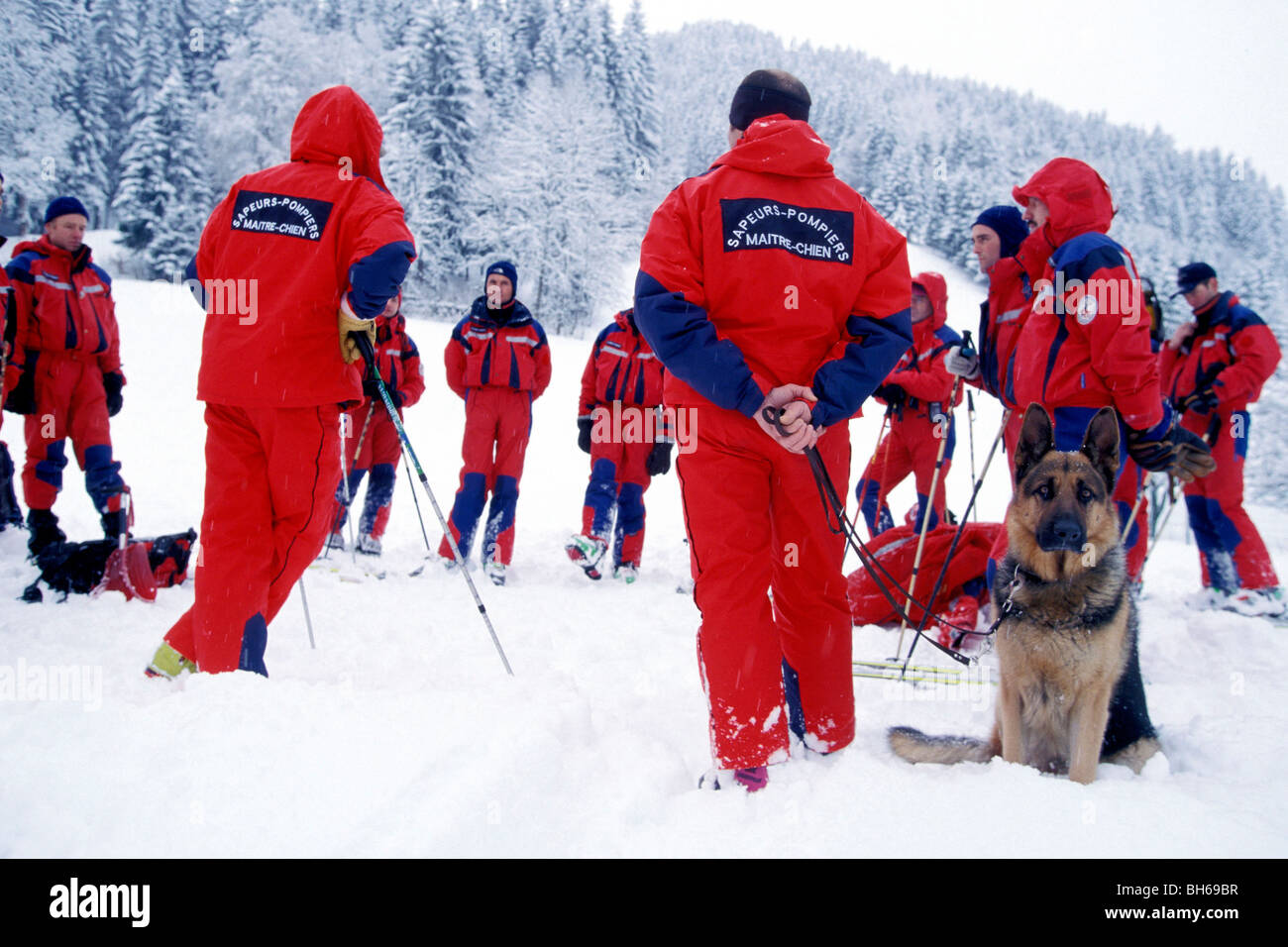 Exercice AVALANCHE AVEC LES CHIENS DE RECHERCHE, LE SERVICE D'INCENDIE DE SECOURS EN MONTAGNE DU GROUPE, HAUTE-SAVOIE (74), FRANCE Banque D'Images