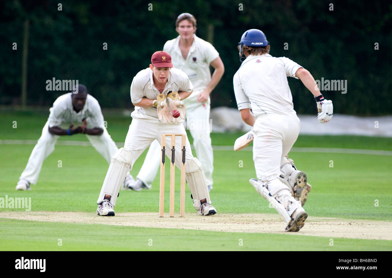 Un Wicket Keeper se prépare à exécuter un batteur lors d'un match entre Preston nomades et Hastings photo par James Boardman Banque D'Images