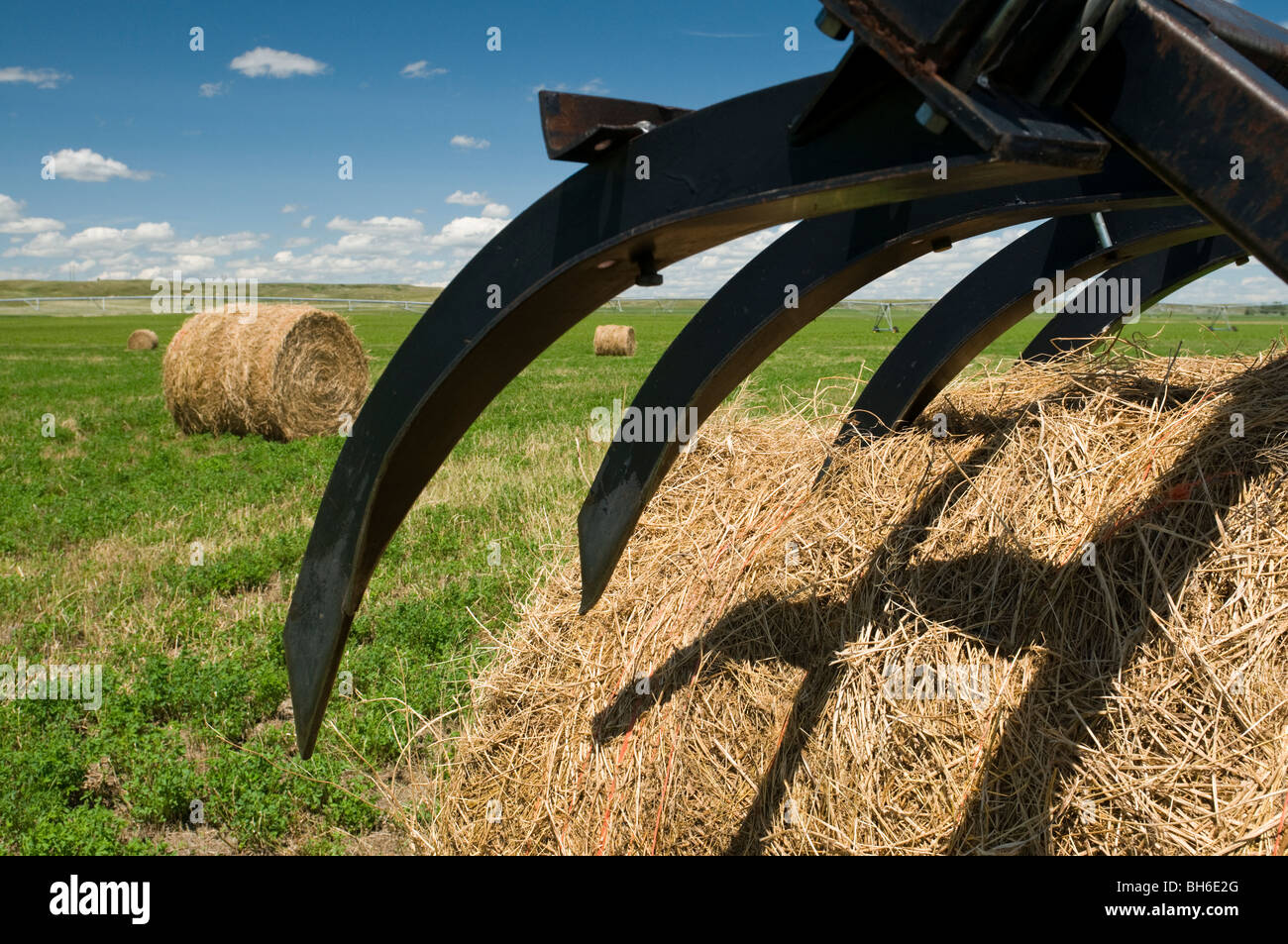 Tracteur et bottes de foin sur les terres situées au sud de l'état près de Sidney Crane Banque D'Images