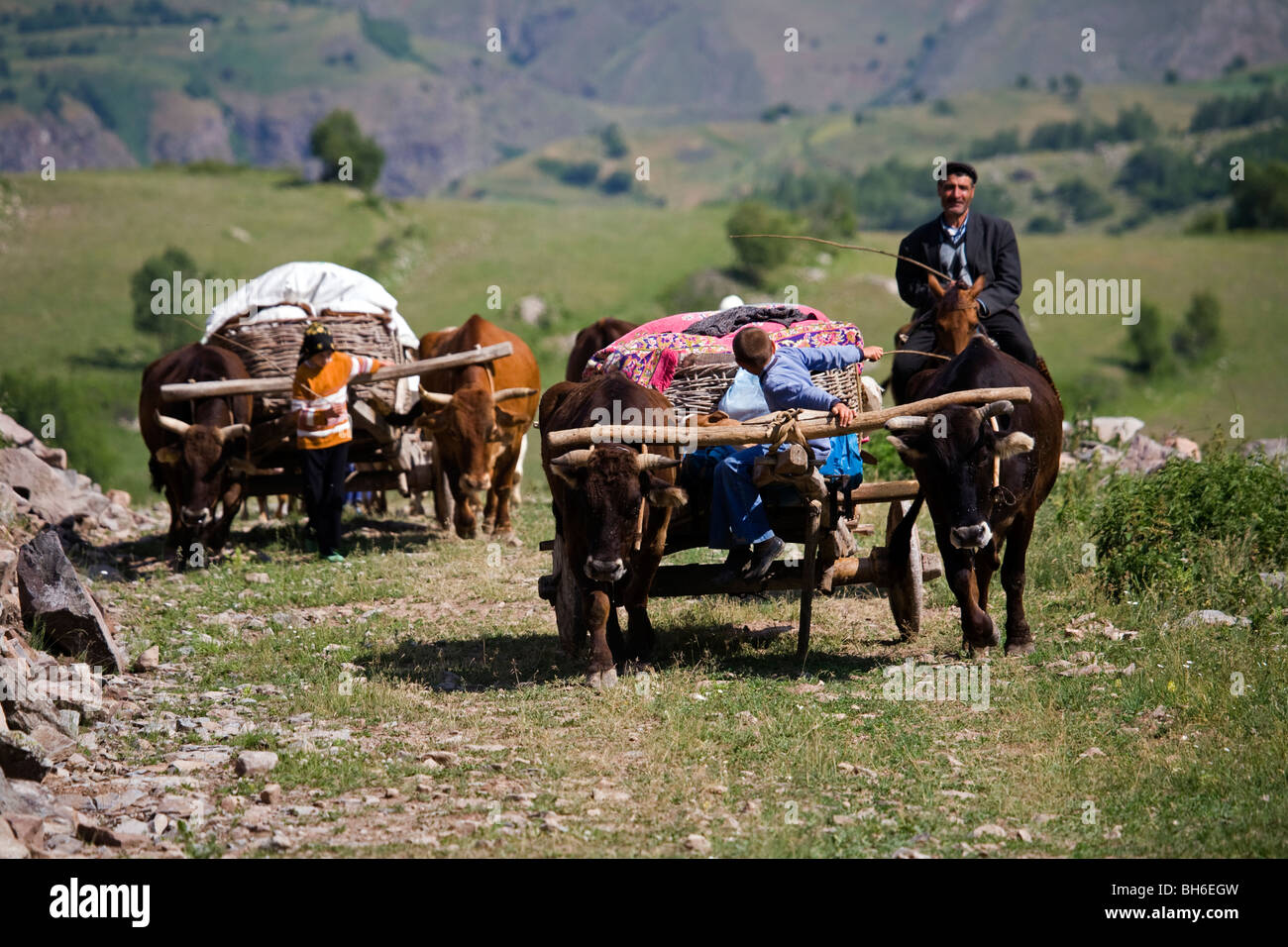 Voyager avec des charrettes à bœuf à Highlands, Posof Ardahan la Turquie. Banque D'Images