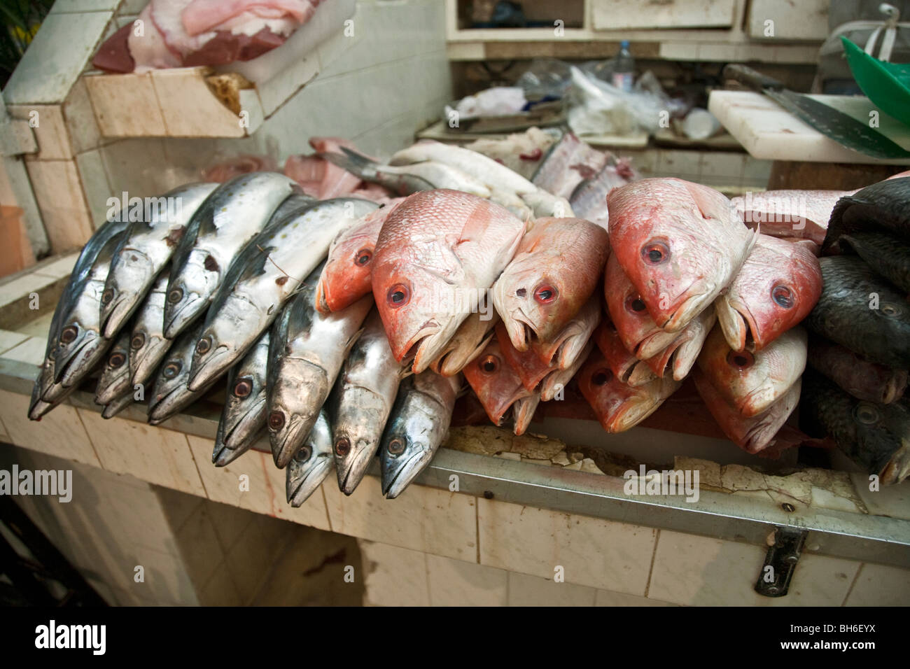 Une variété de poissons y compris le vivaneau est entassé pour vente sur le  comptoir des poissons malpropre en décrochage marché Benito Juarez, la  Ville d'Oaxaca au Mexique Photo Stock - Alamy