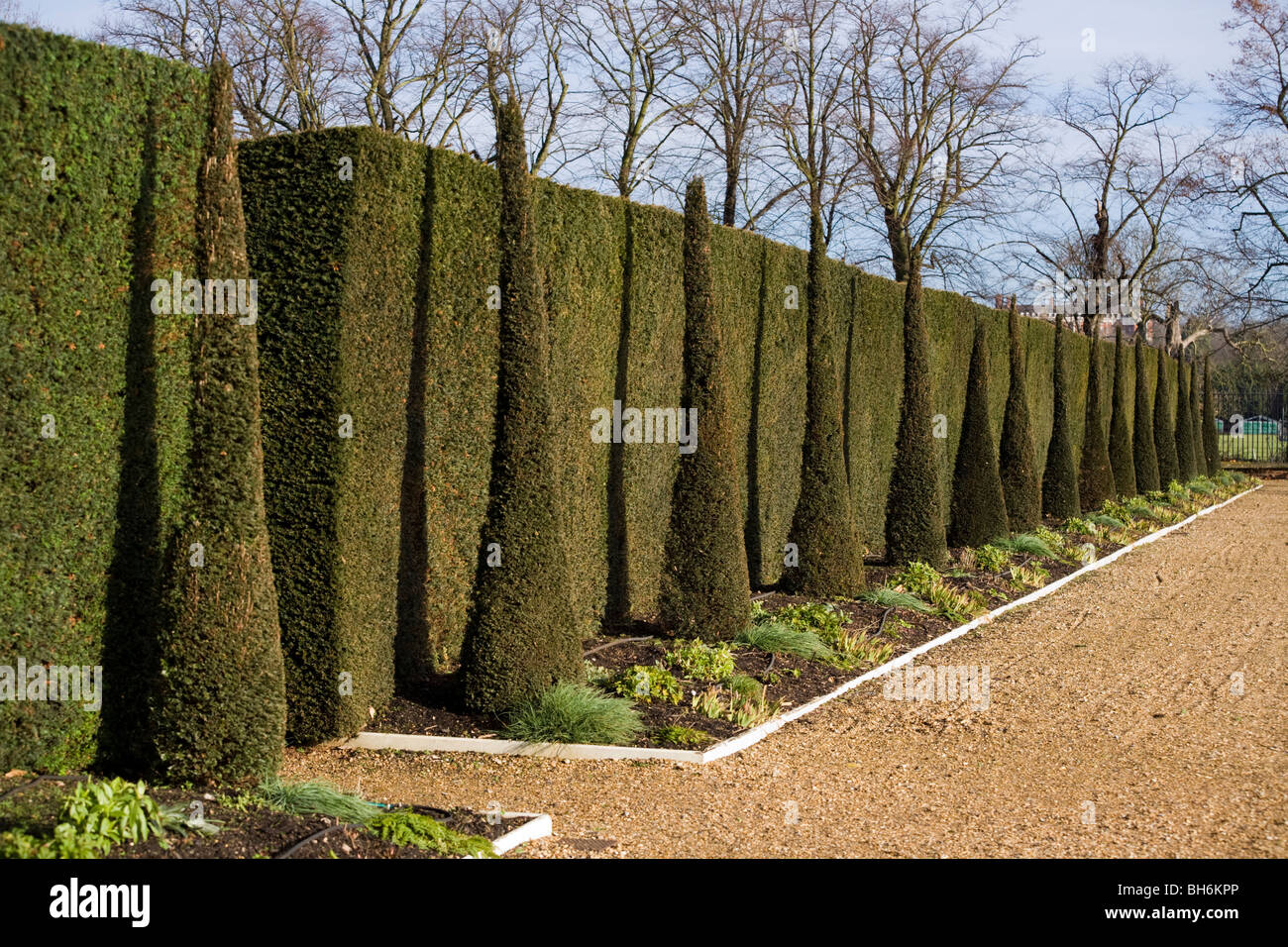 Jardin formel à la côté est de la maison du jambon, avec arbres et haies taillées. Ham House, Surrey. UK. Banque D'Images