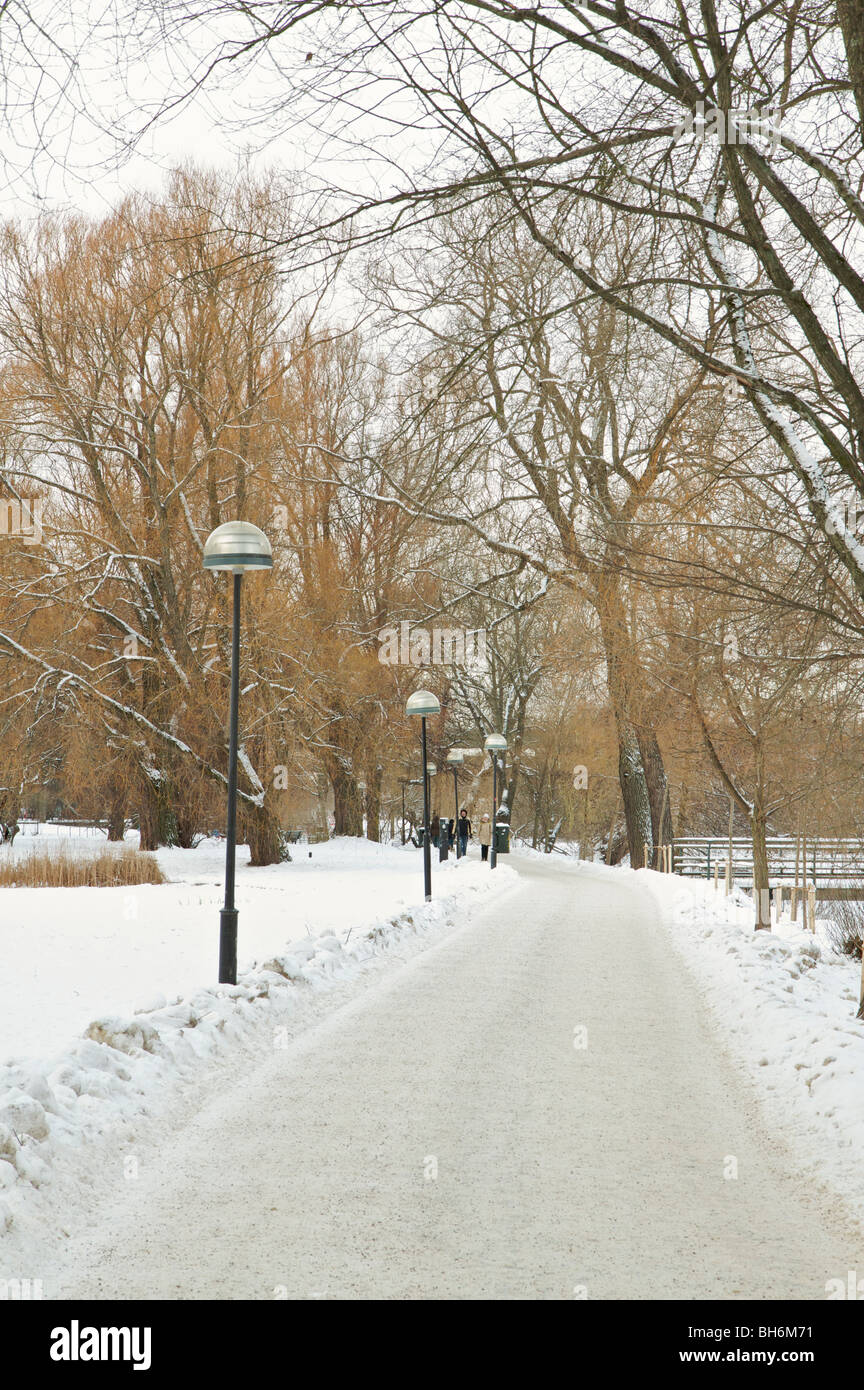 Chemin bordé d'arbre couvert de neige à Stockholm en Suède Banque D'Images