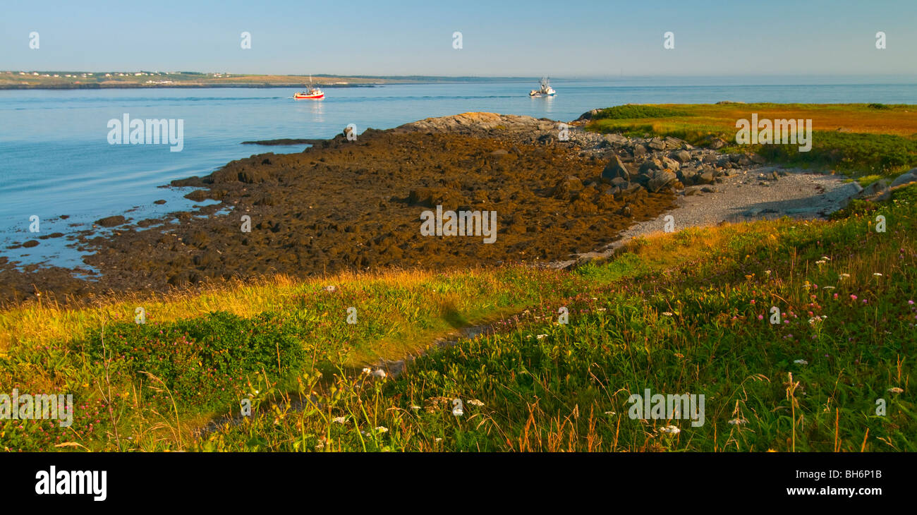 La Nouvelle-Écosse, Yarmouth, Yarmouth Port, baie de Fundy, les chalutiers de pêche vers la mer Banque D'Images