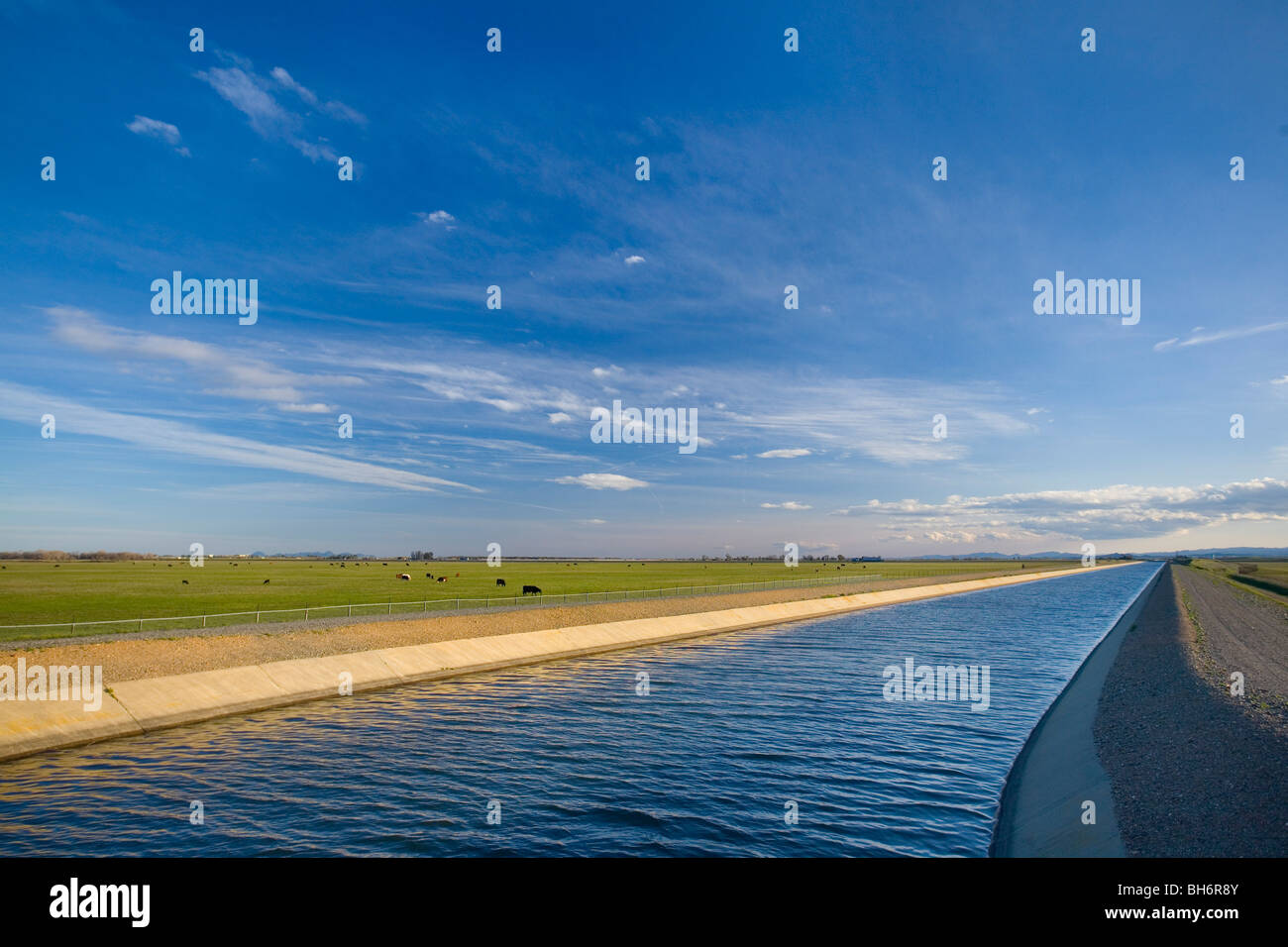 Les canaux d'irrigation agricole, la Vallée de Sacramento, Californie du nord. Banque D'Images