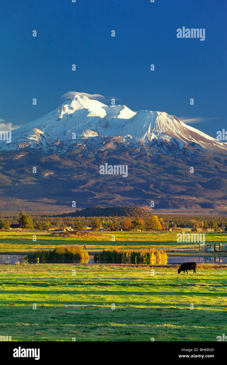 Le mont Shasta en Californie du nord de pointe Banque D'Images