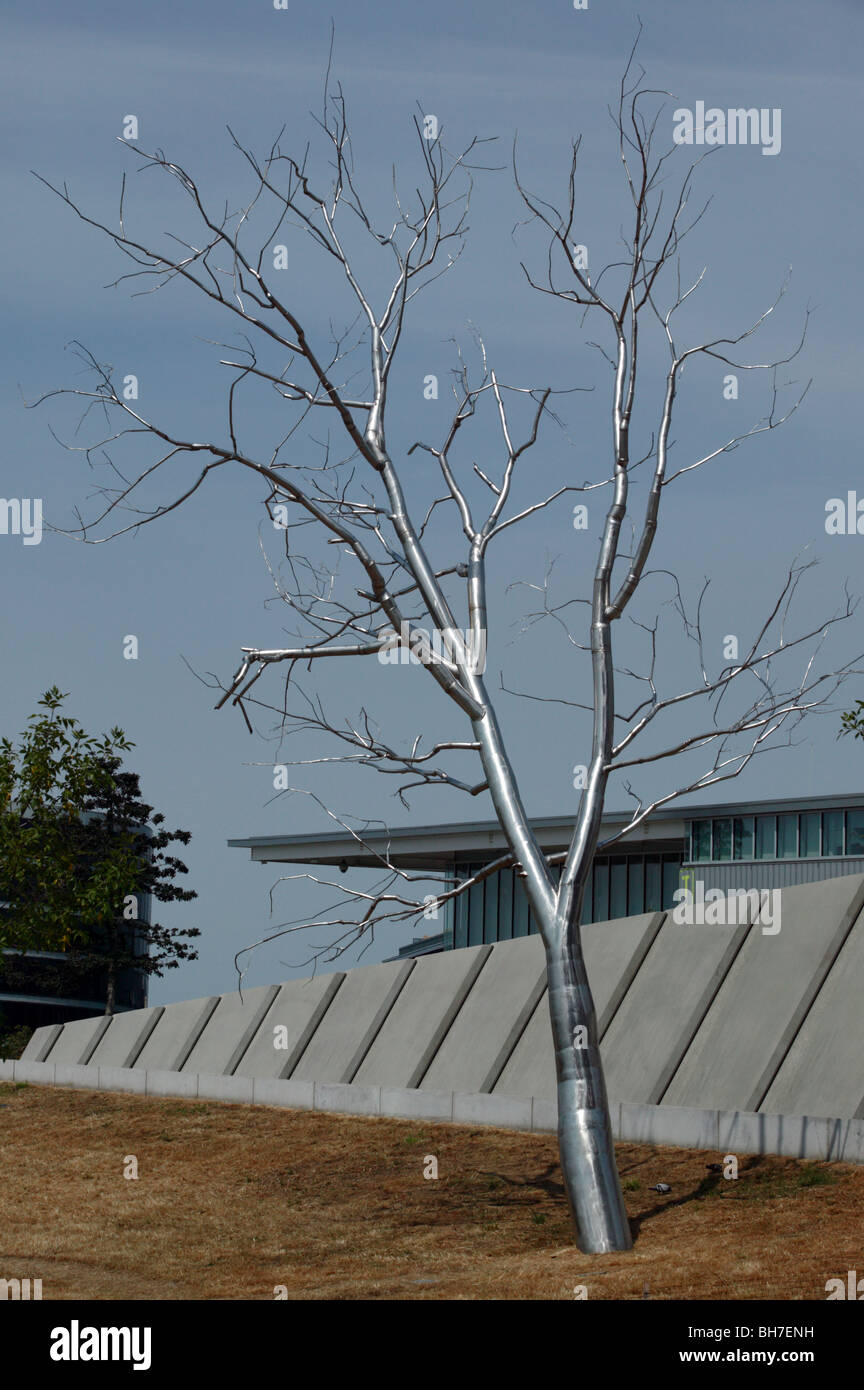 Split, l'élégant et Roxy Paine, dominant, arbre en acier inoxydable dans la sculpture Olympic Sculpture Park, Seattle, Washington, USA Banque D'Images