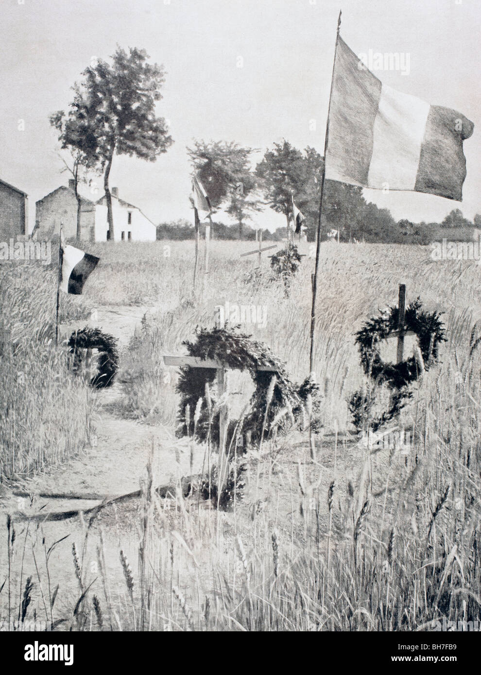 Tombes dans le champs de blé sur le front occidental pendant la Première Guerre mondiale. Banque D'Images