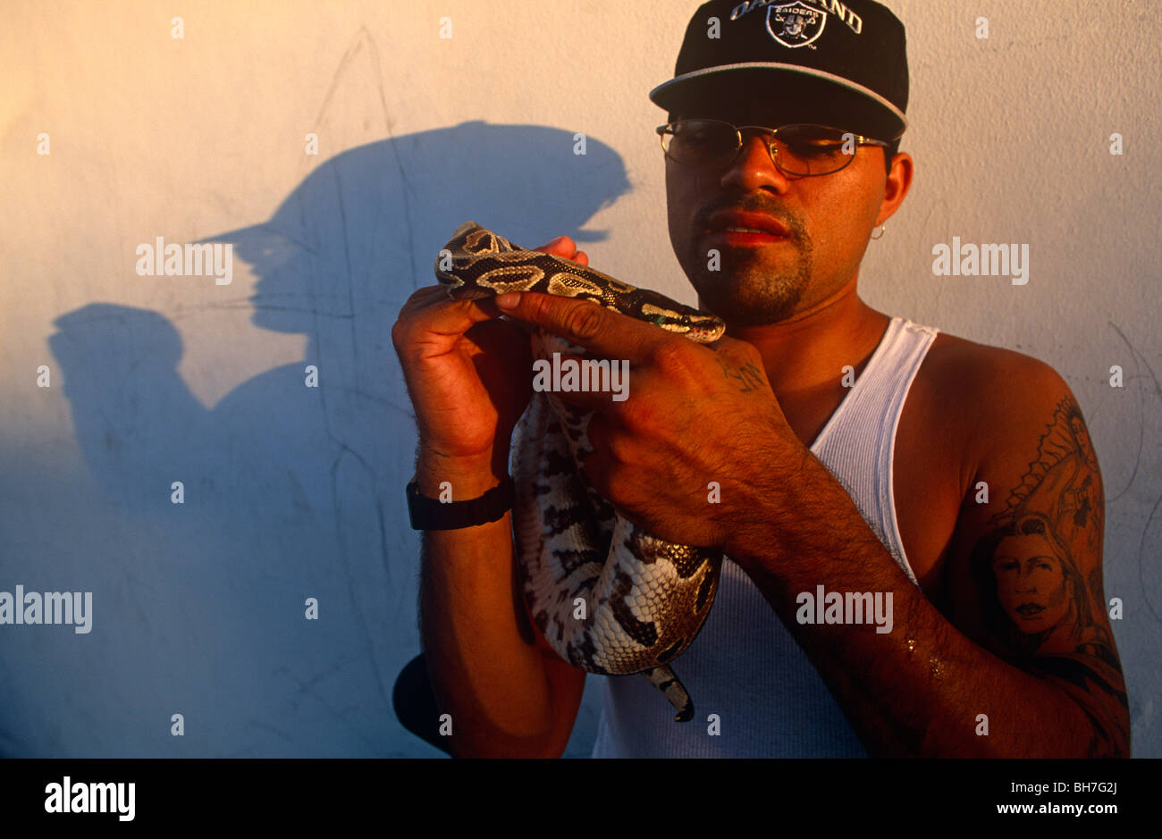 Un jeune homme s'arrête pour montrer son animal exotique confortablement python enroulé autour de son épaule à Miami, en Floride. Banque D'Images