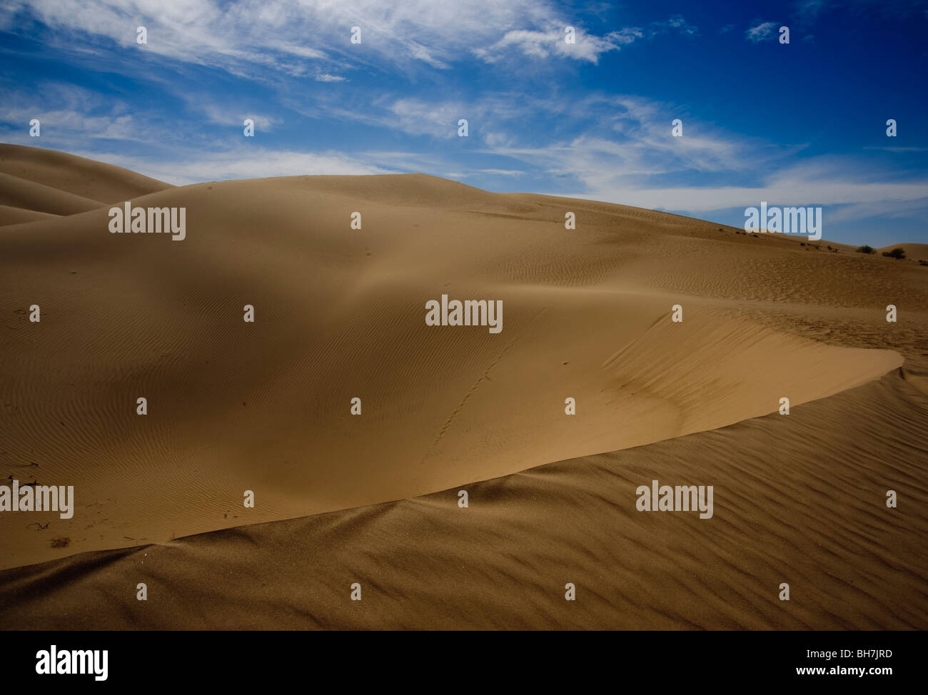 Imperial Valley dunes de sable, dans le sud de la Californie. Ces dunes de soufflage sont entraînés par le vent de la création et de vallées pikes Banque D'Images