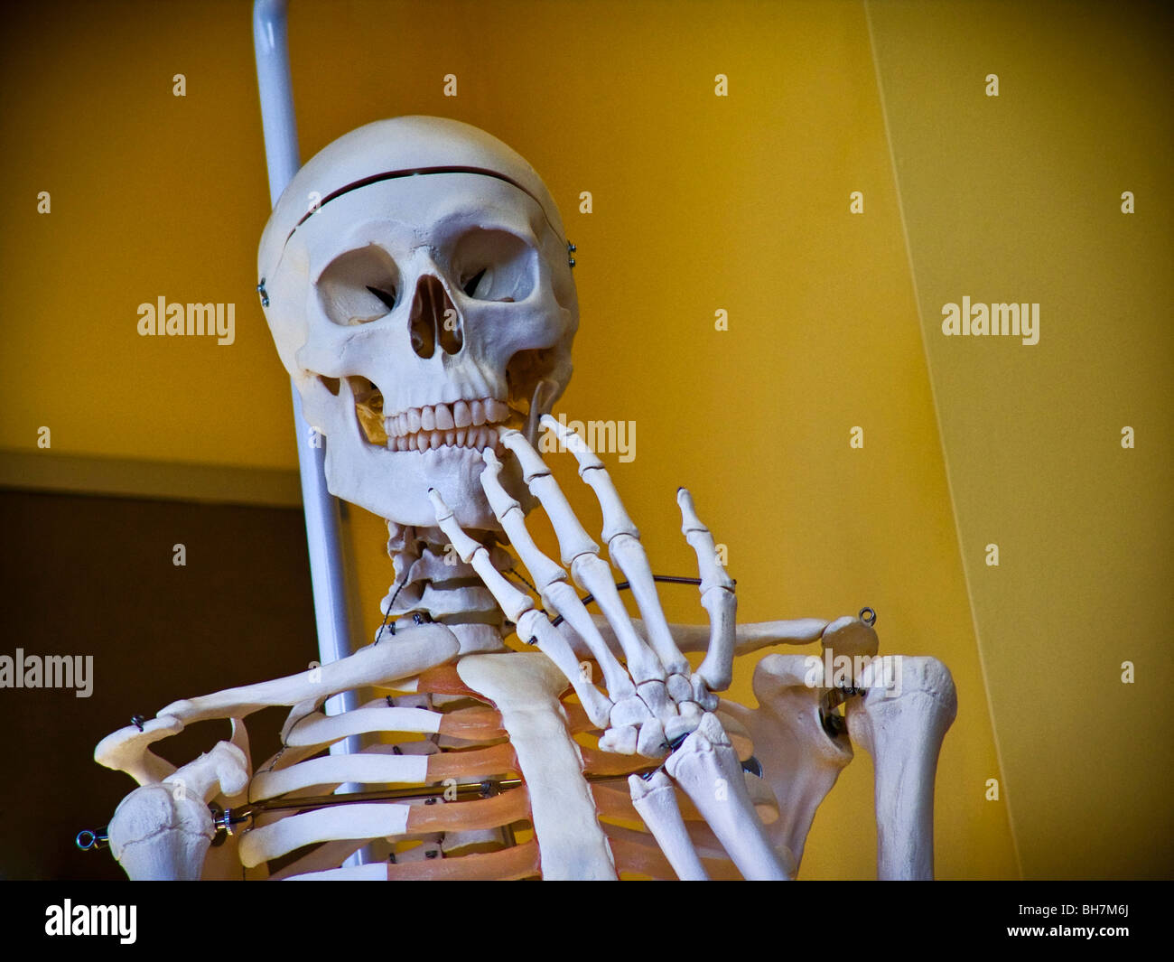 Squelette humain dans l'étude en classe médicale situation avec la main et la bouche squelettique disant 'oops' Concept medical school malpractice erreur erreur de diagnostic Banque D'Images