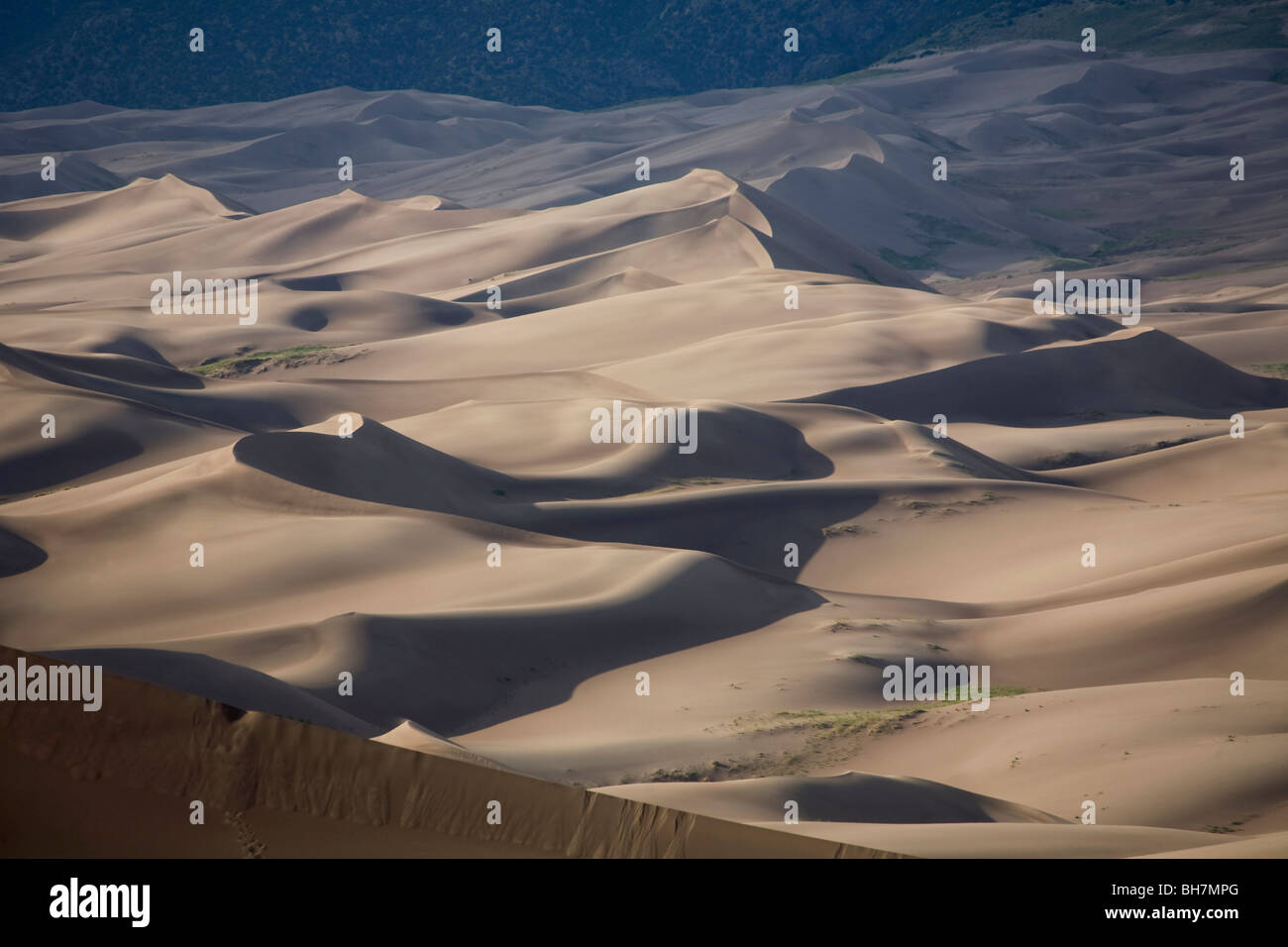 Une mer de dunes comme vu du sommet de la haute dune au crépuscule dans la région de Great Sand Dunes National Park and Preserve, au Colorado. Banque D'Images