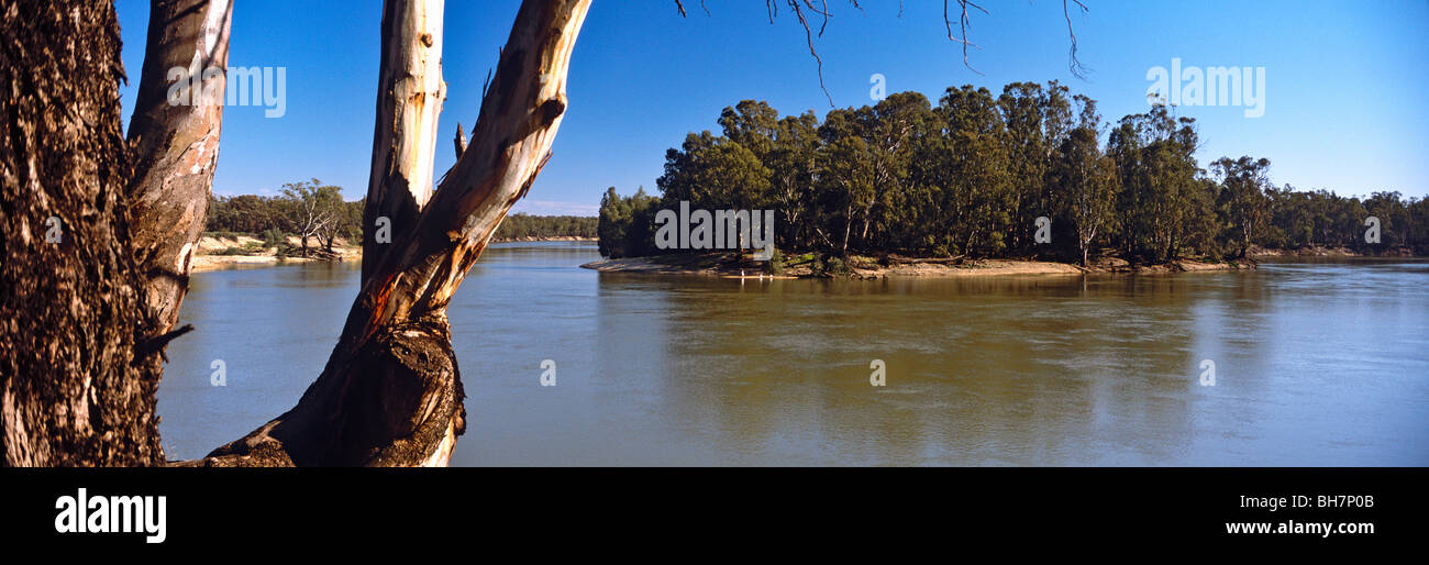 Murray River, Australie Banque D'Images