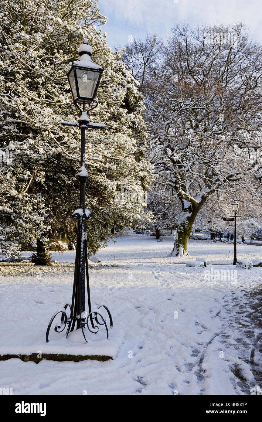 Snow Covering Museum Gardens en hiver York North Yorkshire Angleterre Royaume-Uni Grande-Bretagne Banque D'Images