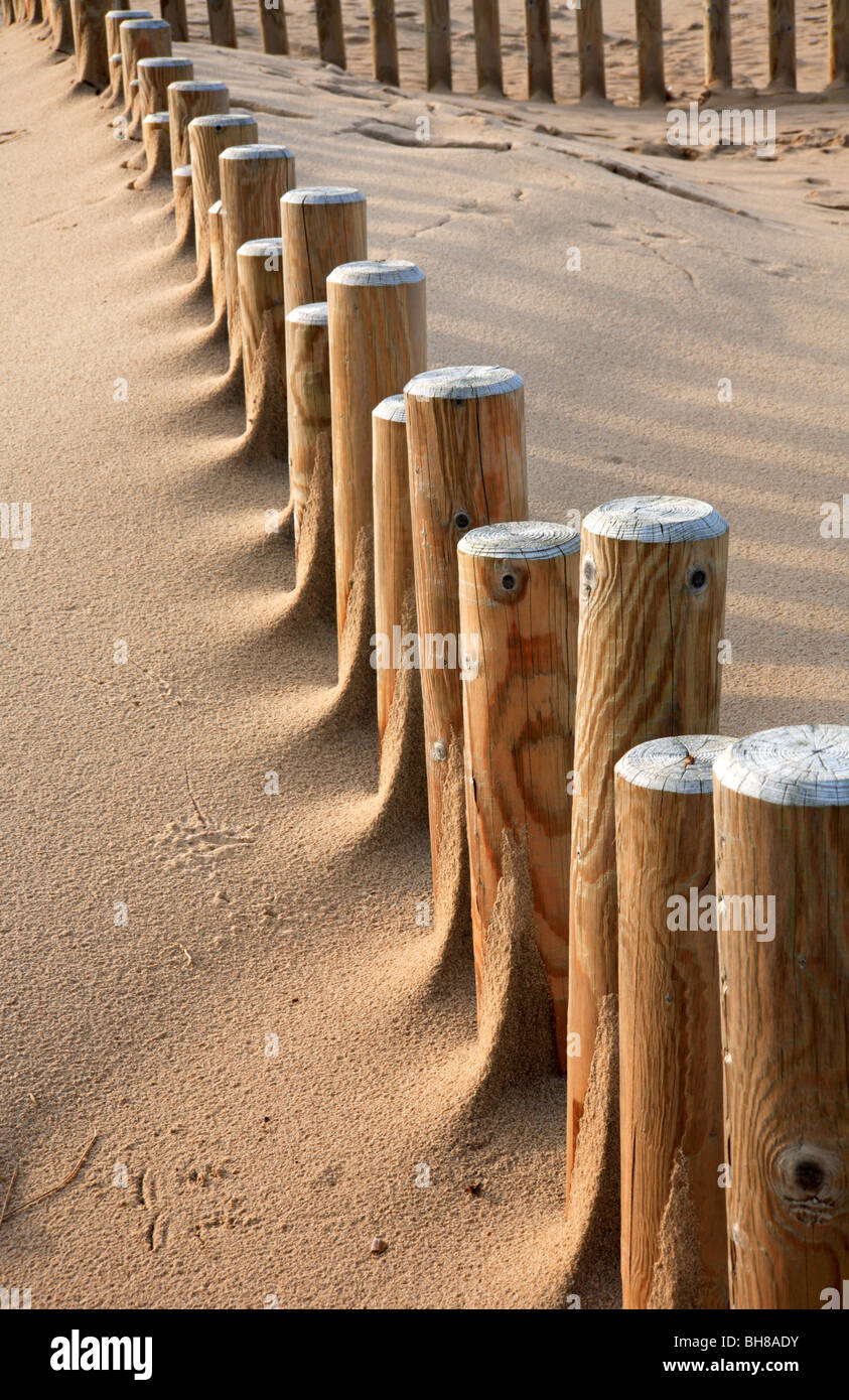 La stabilisation des dunes de sable posts à Holme next la mer, Norfolk, Royaume-Uni. Banque D'Images