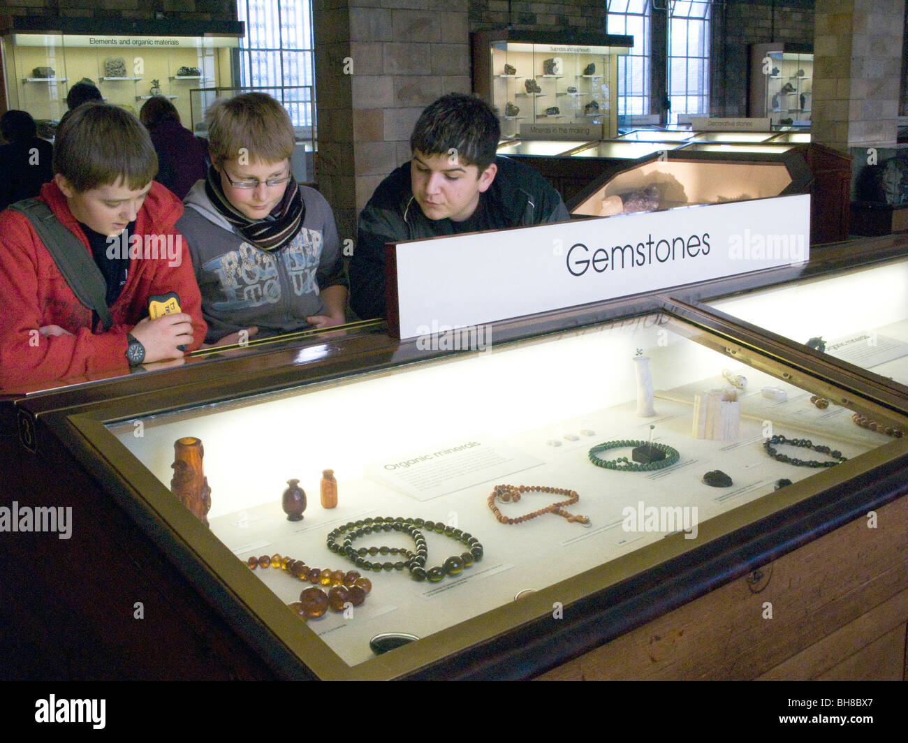 Les enfants de l'école britannique.La visite du Natural History Museum de Londres Banque D'Images