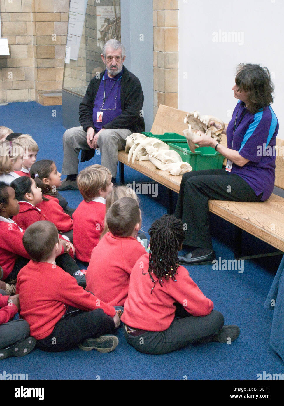 Les enfants de l'école britannique.La visite du Natural History Museum de Londres Banque D'Images