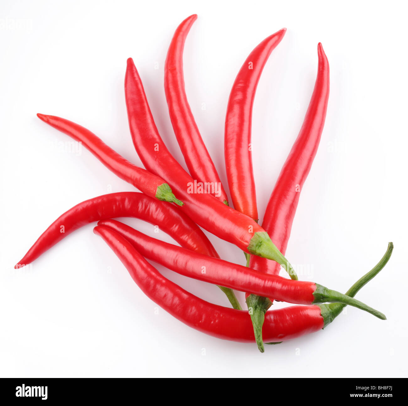 Pods spicy piment rouge sur fond blanc Banque D'Images