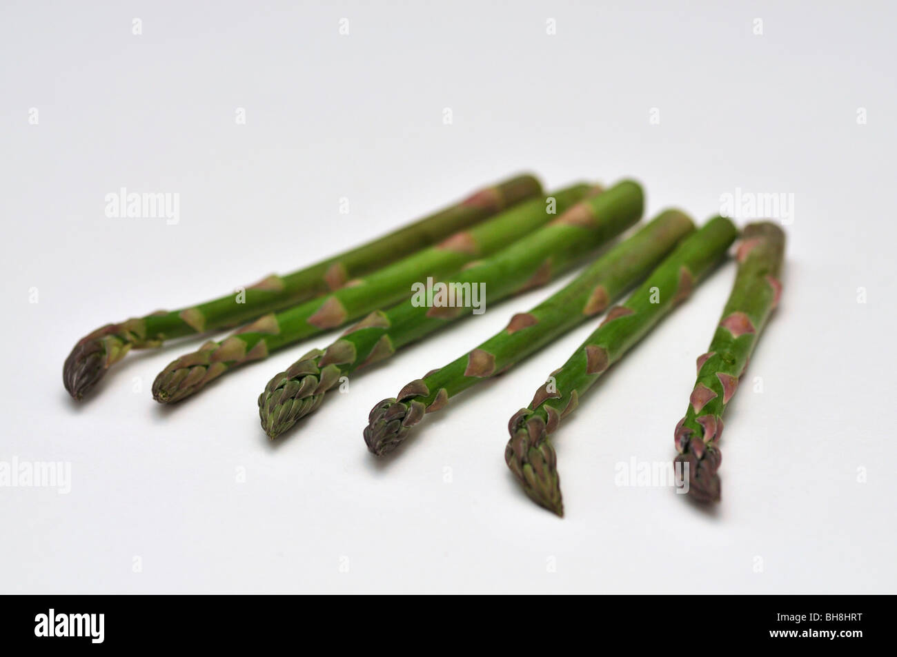 Asperges vertes sur fond blanc Banque D'Images