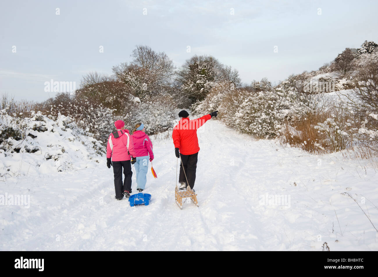 En tirant un traîneau, le long du chemin de Ridgeway sur un jour de neige dans les Chilterns près de Aston Rowan, Oxfordshire, UK Banque D'Images