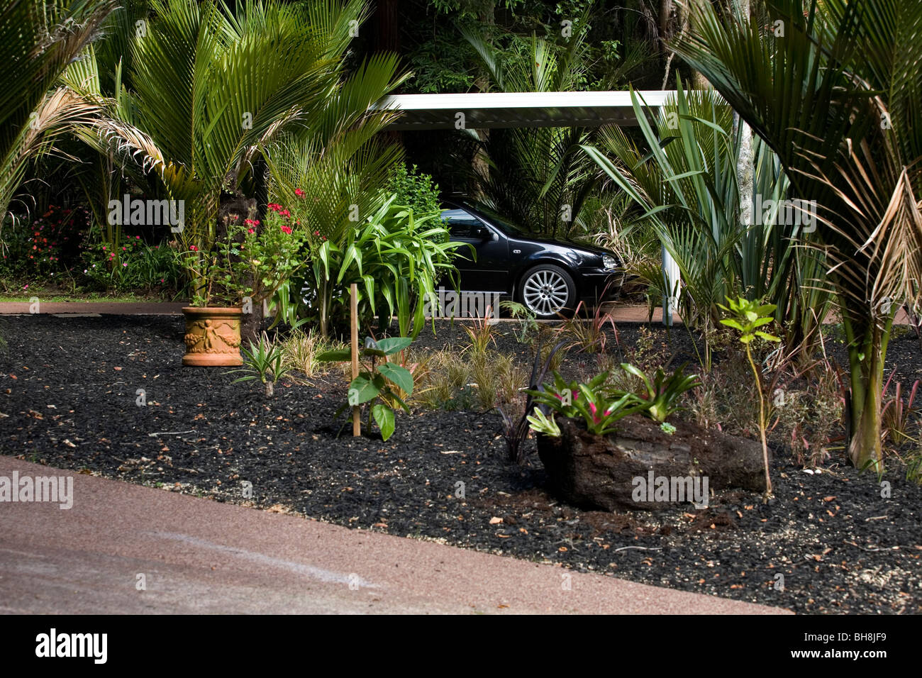 La VW Golf à l'abri de jardin de pluie Banque D'Images