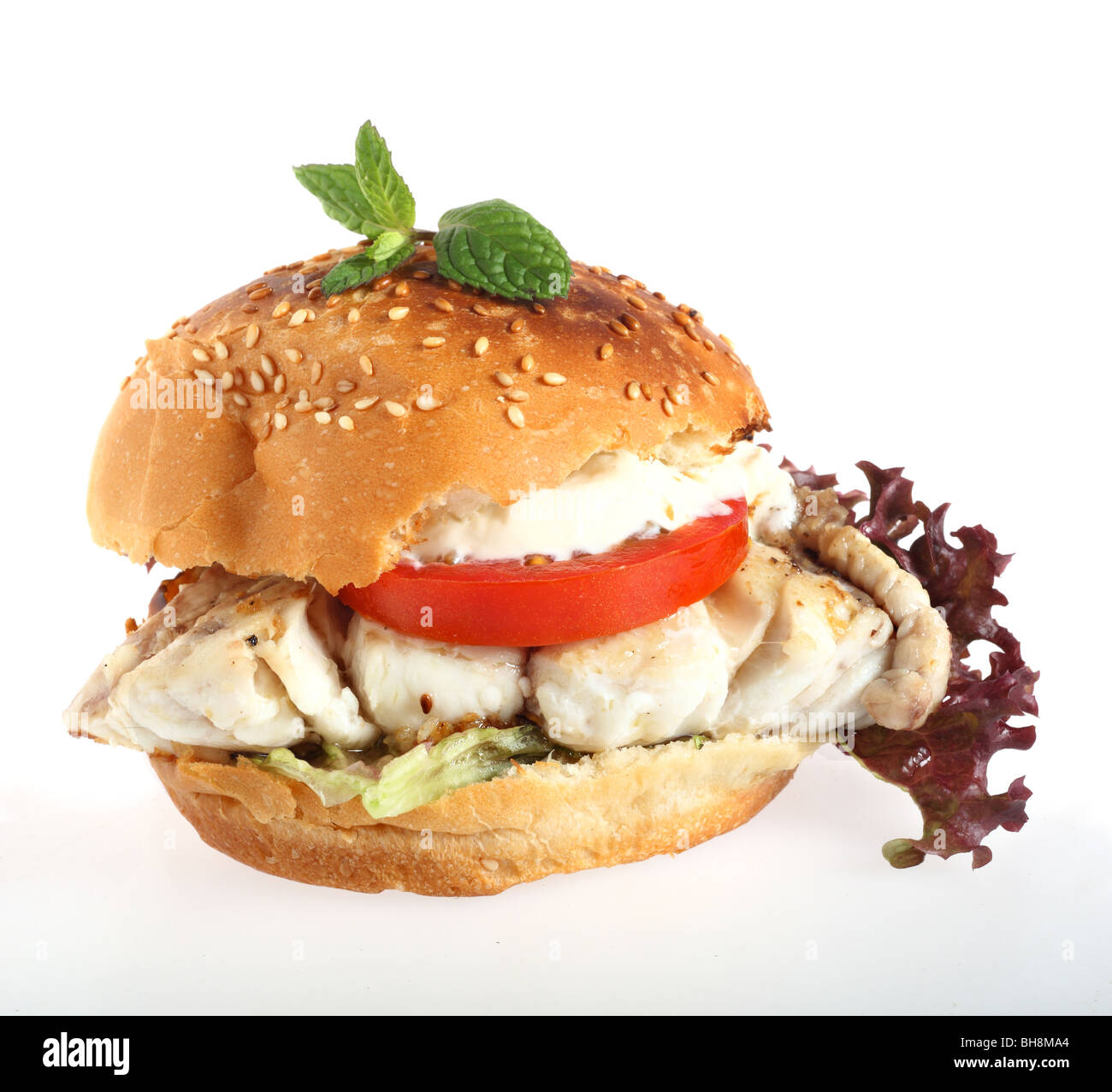 Un hamburger bun rempli d'un filet de poisson frit, salade et hamour Banque D'Images