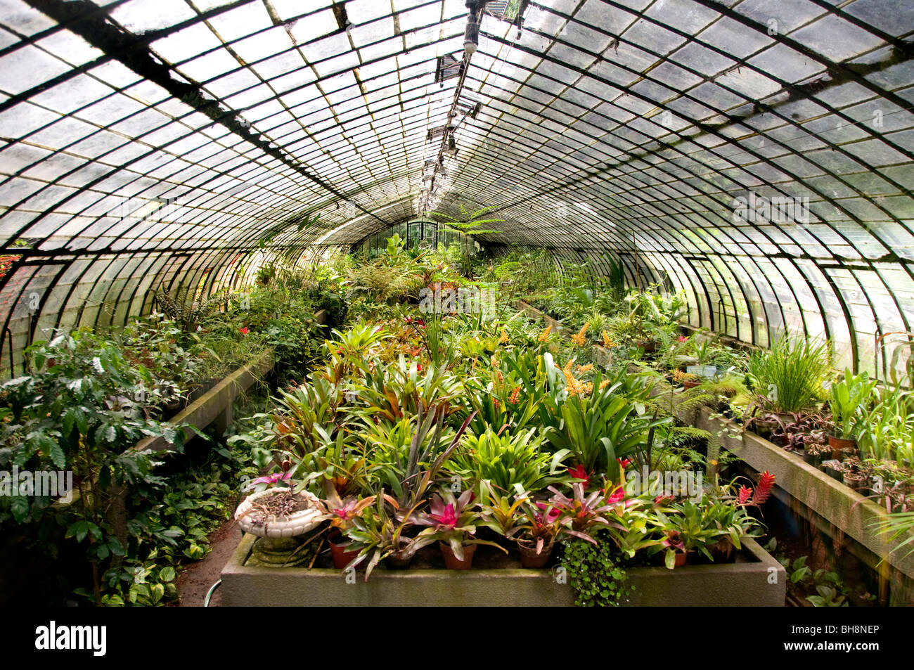 Buenos Aires Argentine Jardin Botanico Botanical Gardens Charles Thays Banque D'Images