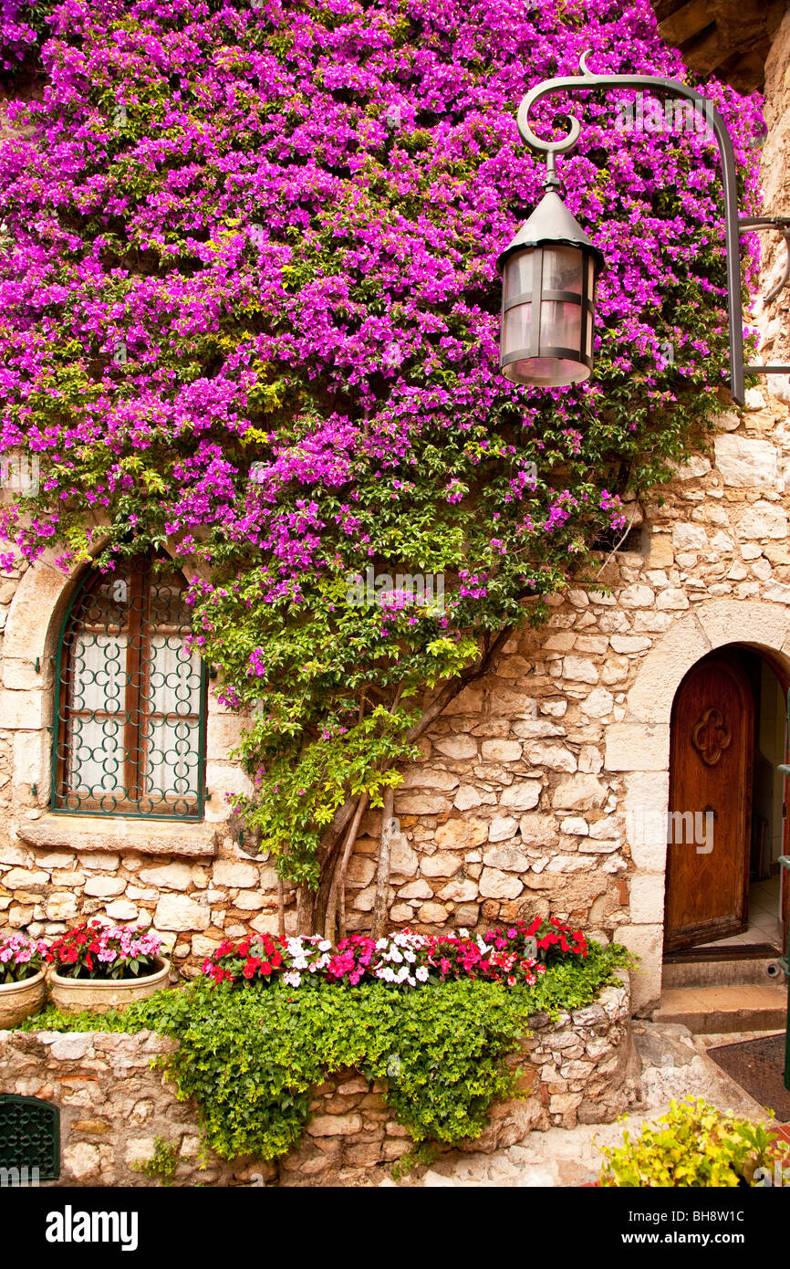 De plus en plus de belles fleurs sur le côté d'une maison à Eze Provence France Banque D'Images