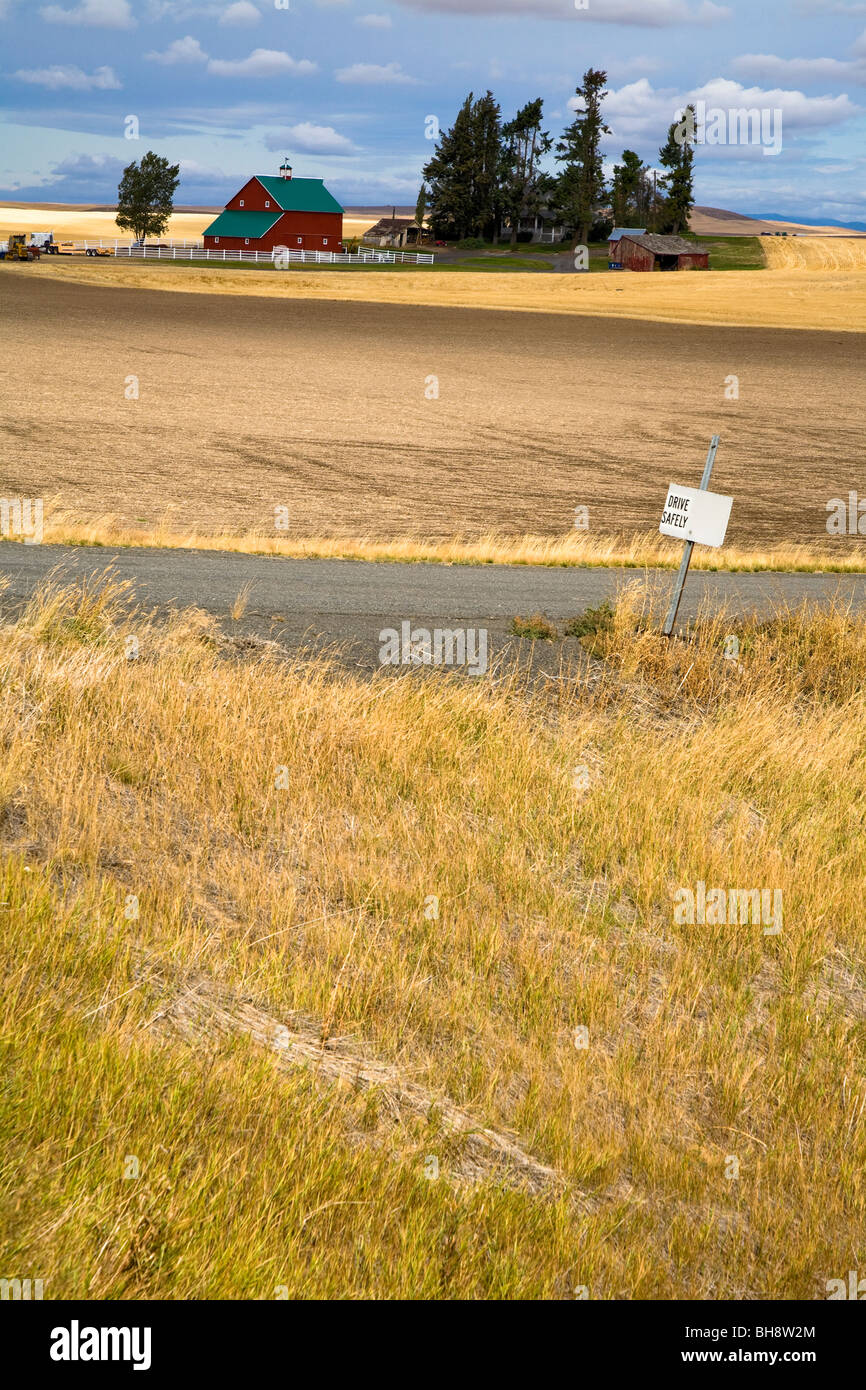 Vue sur les champs de céréales d'or vers l'emblématique grange en bois rouge, Washington State, USA Banque D'Images