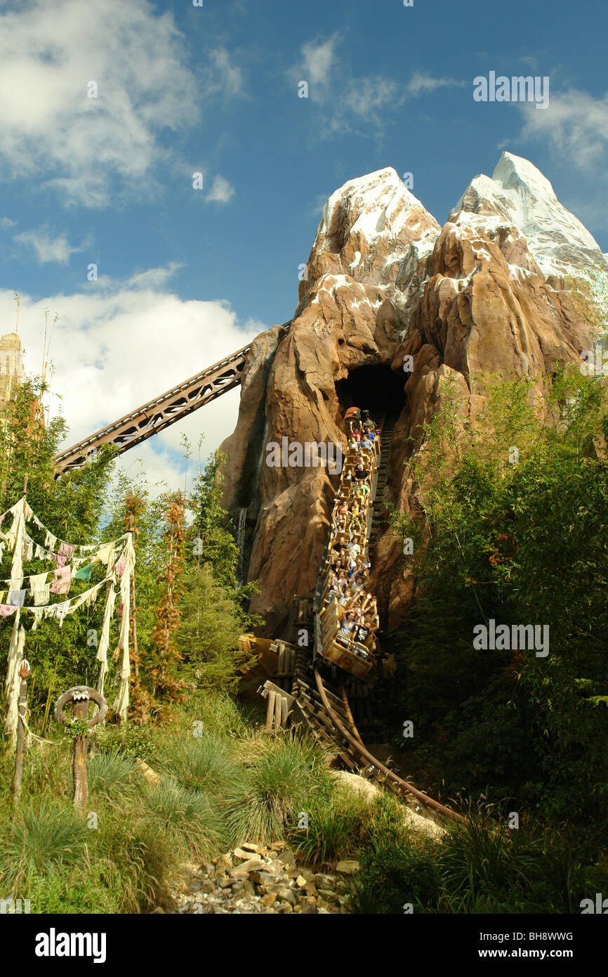 AJD64573, Lake Buena Vista, Orlando, Floride, Floride, Disney World, Animal Kingdom Banque D'Images