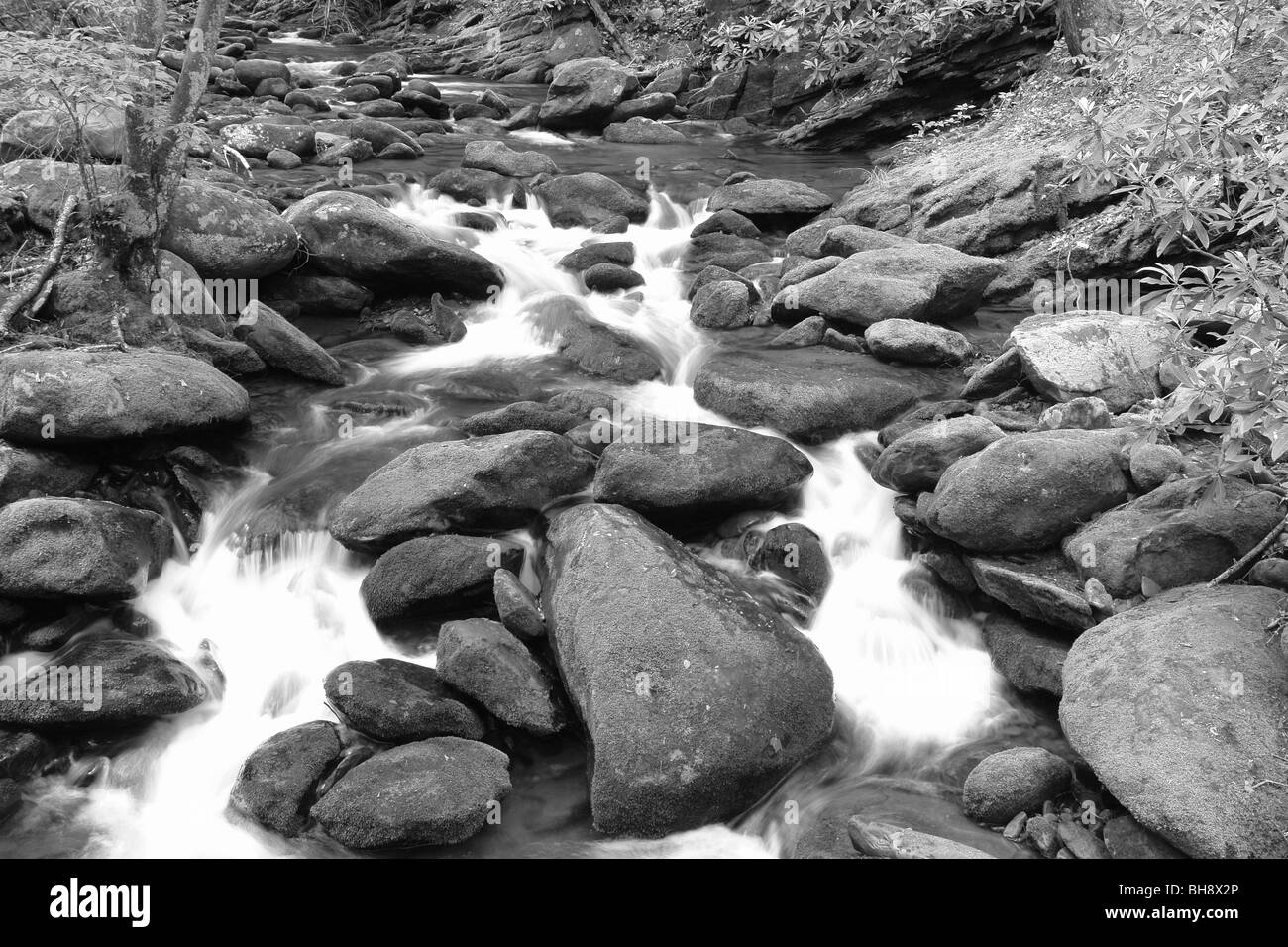 AJD63911, Gatlinburg, parc national des Great Smoky Mountains, TN, Tennessee, rivière, cascades, Sentier Nature Moteur Roaring Fork Banque D'Images