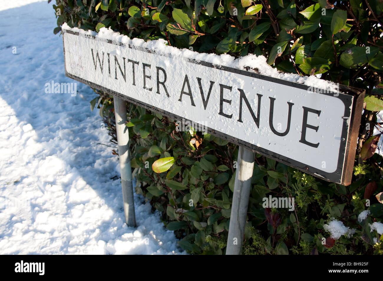 Une plaque de rue appelé avenue d'hiver dans la neige Banque D'Images