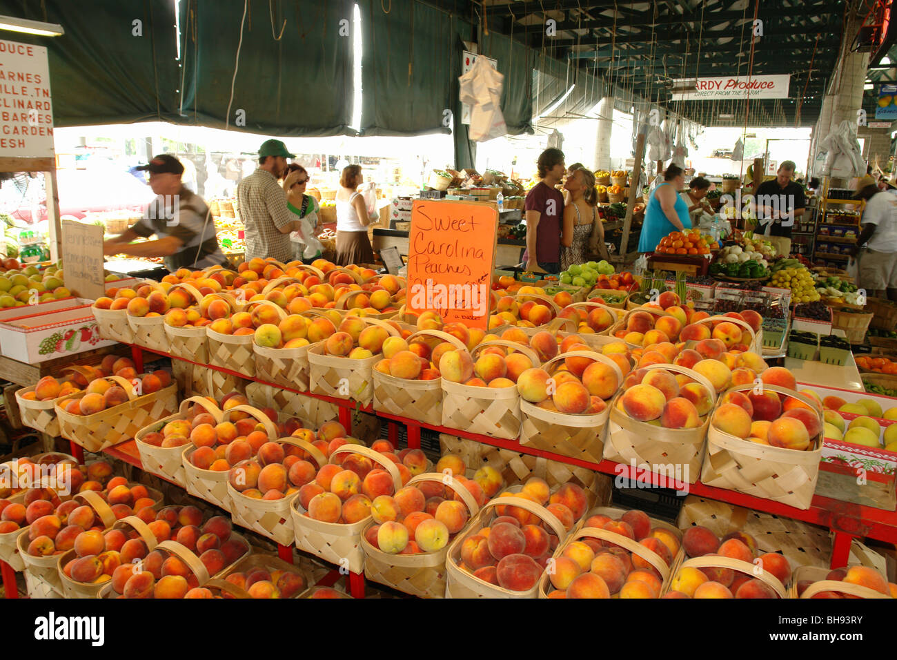 AJD65272, Nashville, TN, Tennessee, Nashville Farmers' Market Banque D'Images