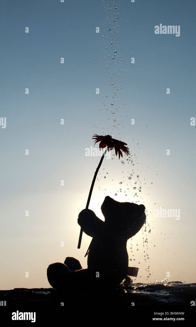 Ours tenant une fleur avec les gouttes d'eau couler sur eux au coucher du soleil. Still Life silhouette Banque D'Images