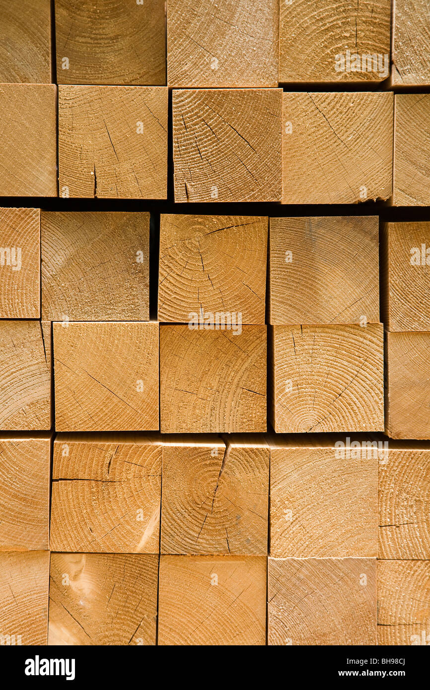 Grain fin de pieux en bois de pin Banque D'Images