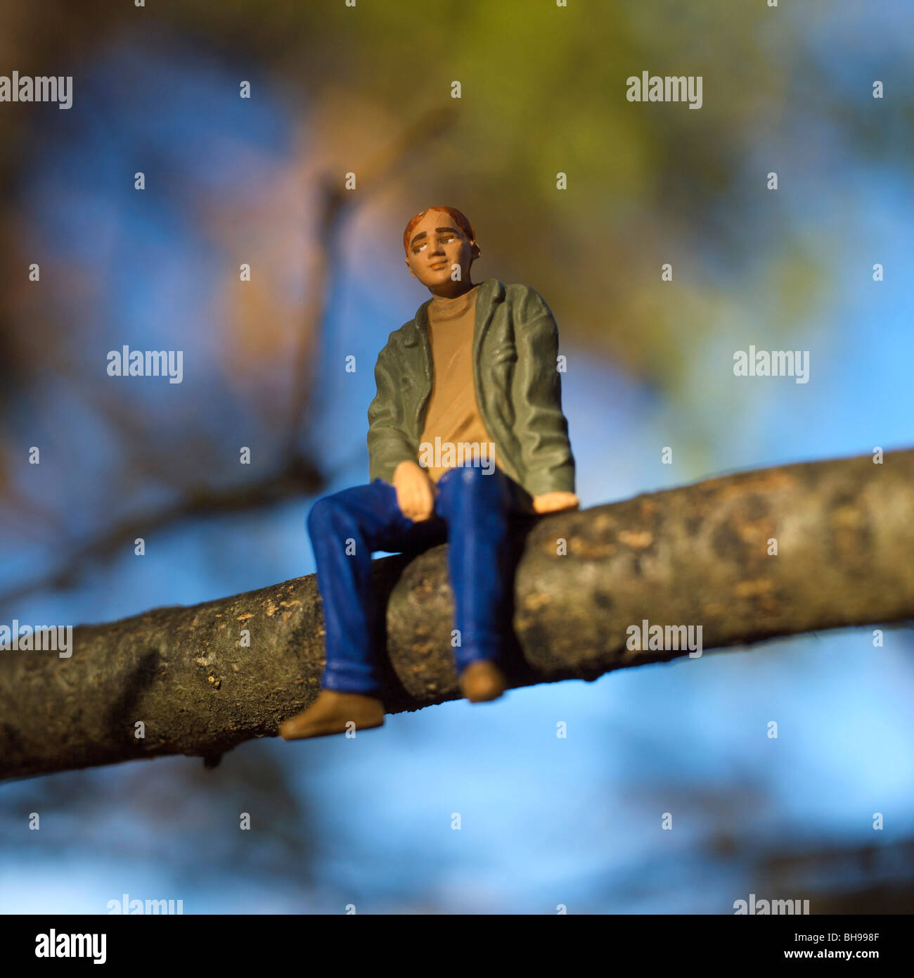 Environnement / écologie / environnement / nature / green living / escape / concepts concept liberté Banque D'Images