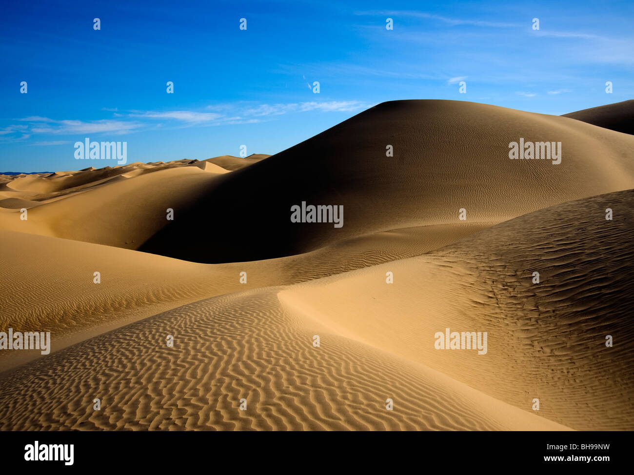 Dunes de sable dans le comté d'Imperial de Californie. Ces dunes de vent sont toujours en mouvement comme le vent crée ces avis Banque D'Images
