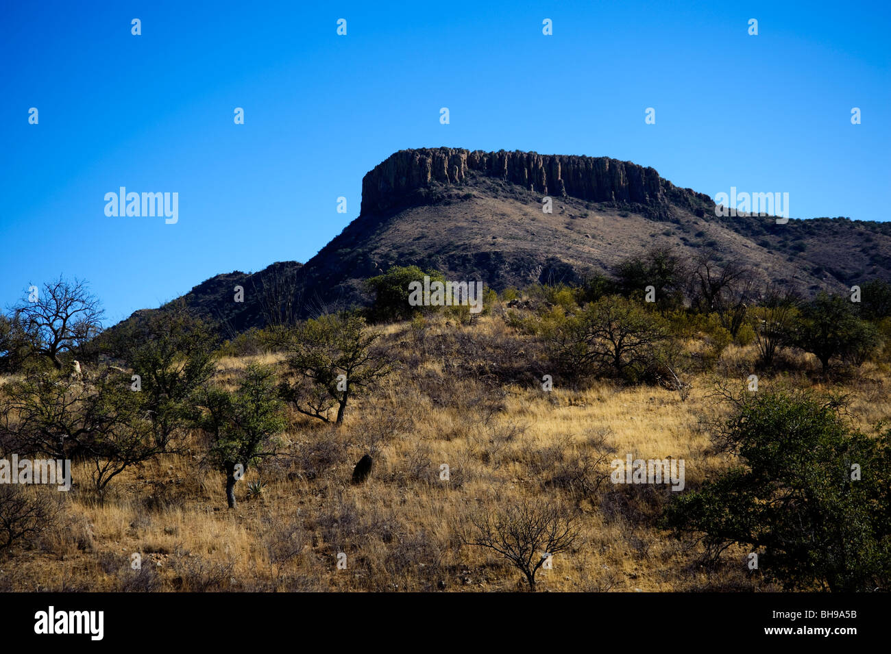 Castle Dome Butte, cette butte est à l'extérieur de Yuma en Arizona dans l'Kofa National Wildlife Refuge. Banque D'Images