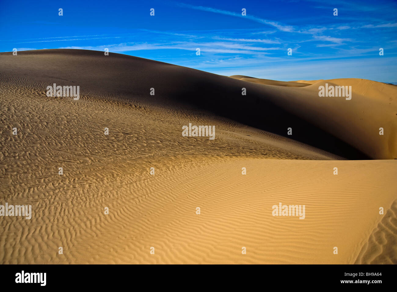 Dunes de sable dans le comté d'Imperial de Californie. Ces dunes de vent sont toujours en mouvement comme le vent crée ces vues Banque D'Images