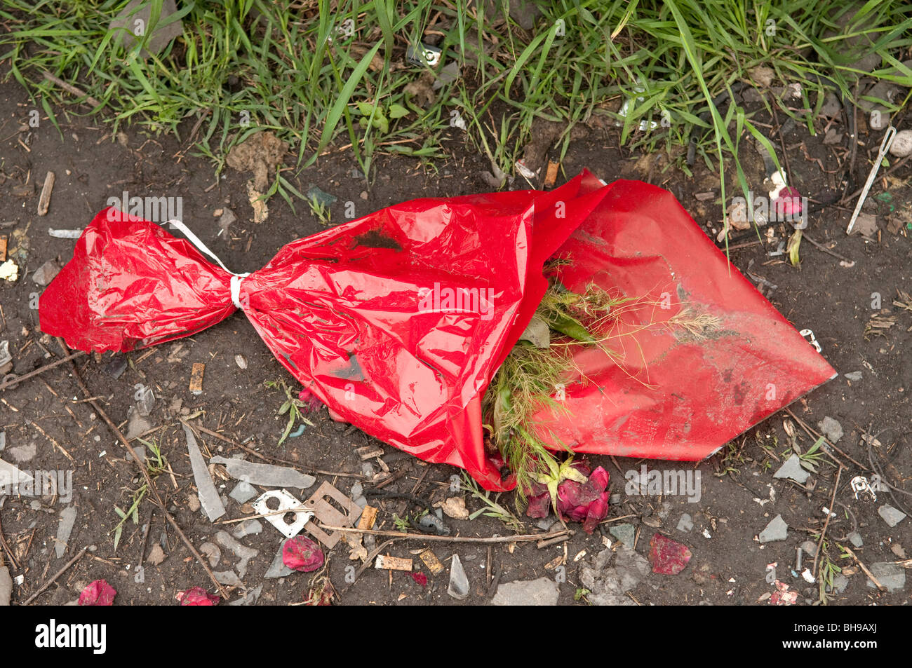 Les fleurs mortes piétiné dans la boue Ploiesti Roumanie Europe de l'Est Banque D'Images