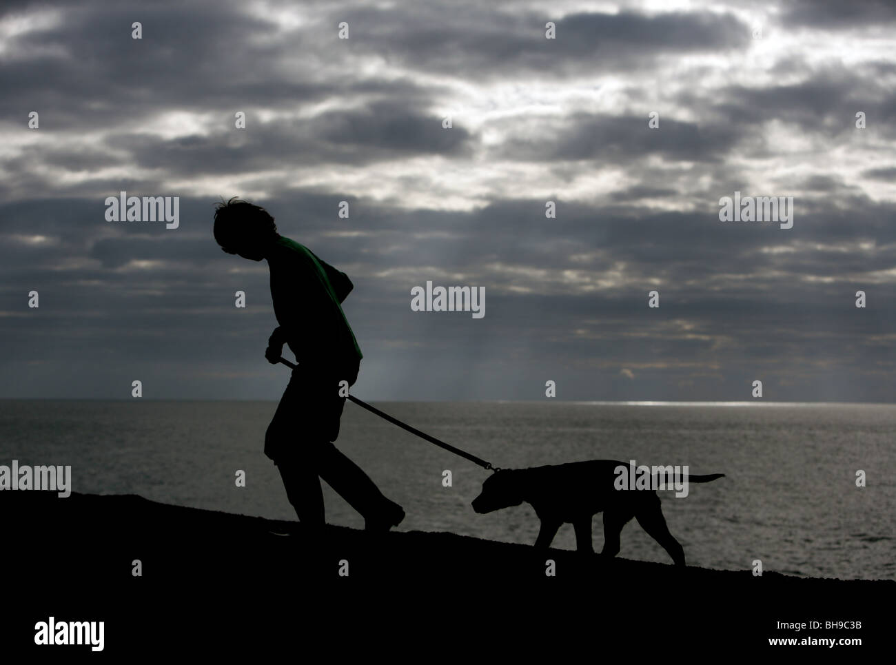 Garçon et chien seul adolescents avec Labrador, chiot Silhouette plage de Chesil, Dorset, UK Banque D'Images