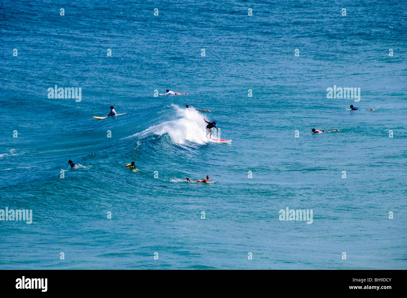 Surfeurs à point Lookout North Stradbroke Island Australie // NORTH STRADBROKE ISLAND, Australie — Un groupe de surfeurs attend les vagues à point Lookout sur Stradbroke Island, le point le plus à l'est du Queensland. North Stradbroke Island, juste à côté de Brisbane, la capitale du Queensland, est la deuxième plus grande île de sable du monde et, avec ses kilomètres de plages de sable fin, une destination de vacances estivales populaire. Banque D'Images