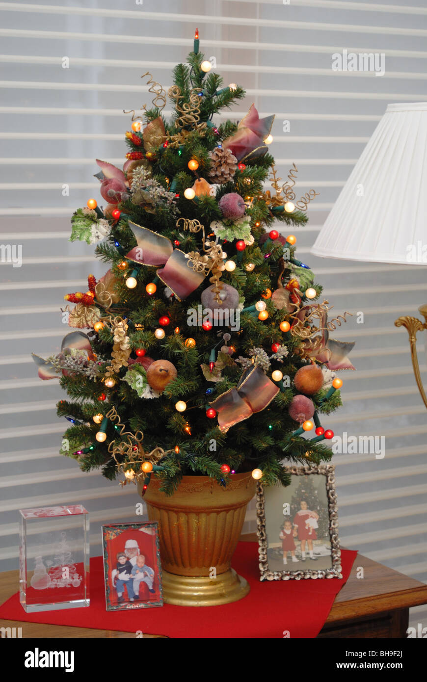 Un petit arbre de Noël décoré avec élégance, est situé au sommet d'une table dans une maison, le long du côté des photos de famille. Banque D'Images