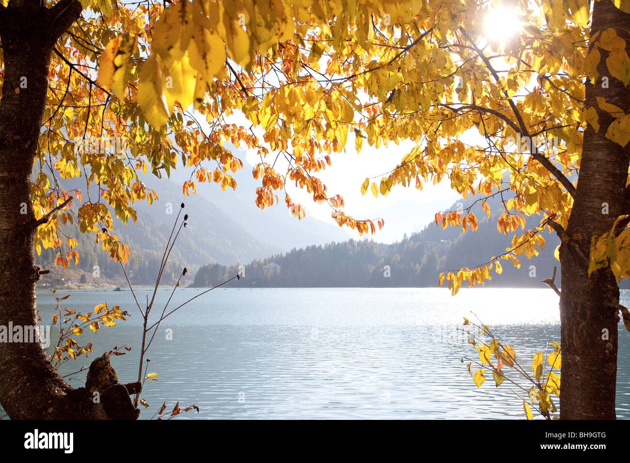 Le lac d'Alleghe à travers les feuilles d'automne et le soleil brille Banque D'Images