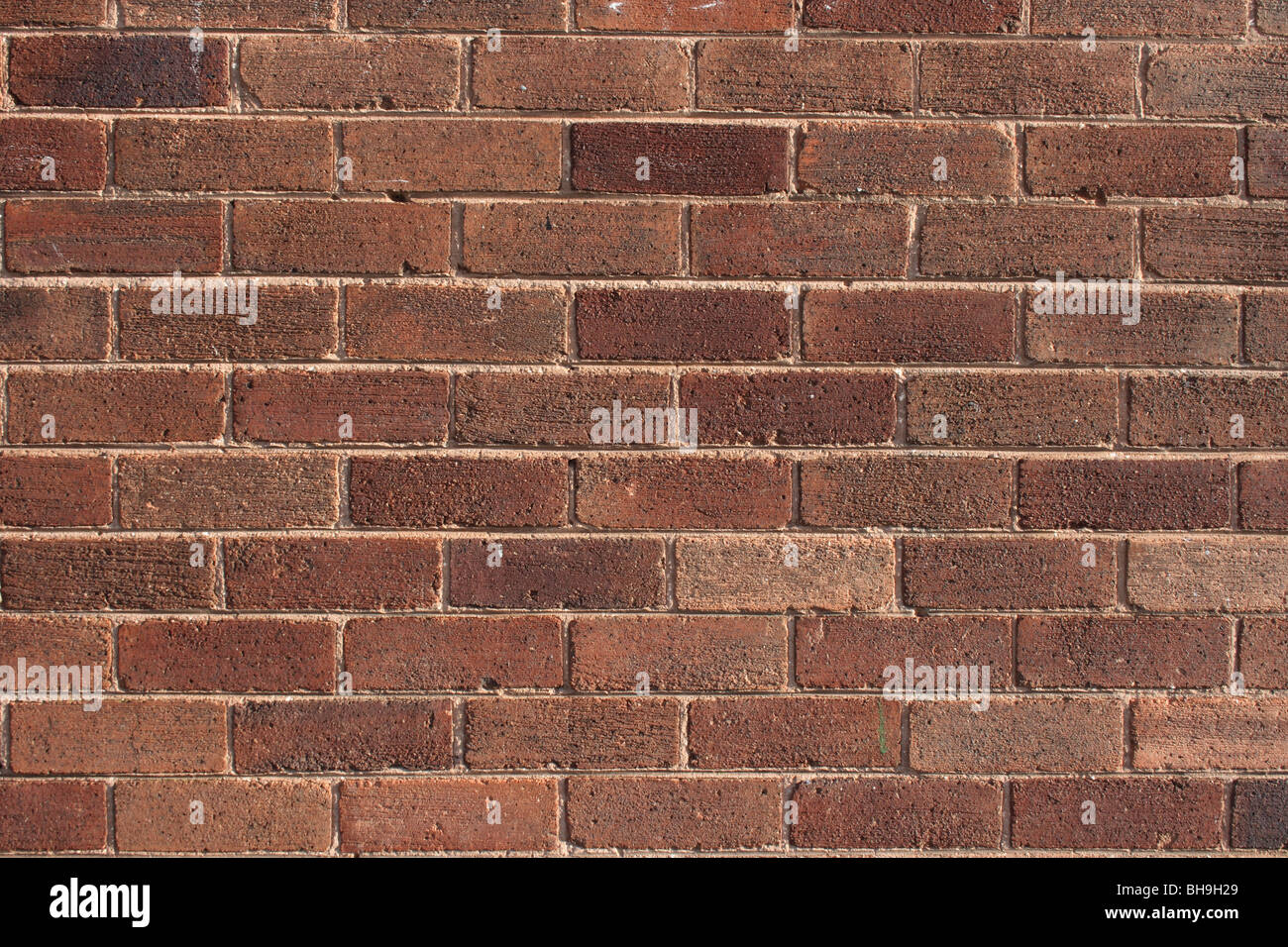 Régime de travail de brique briques posées en anglais. Banque D'Images