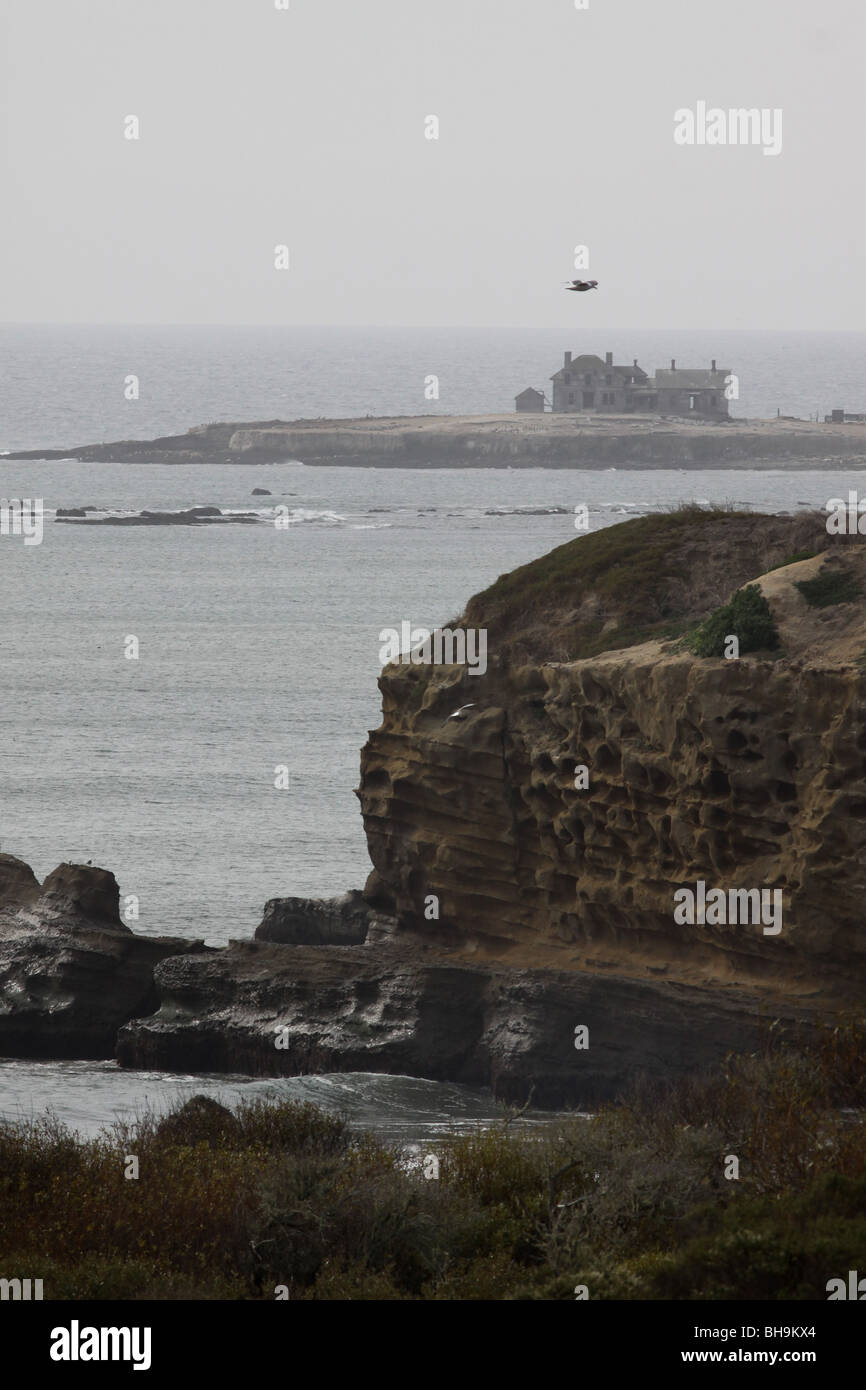 Año Nuevo State Park Californie côte sentier Cliff Banque D'Images