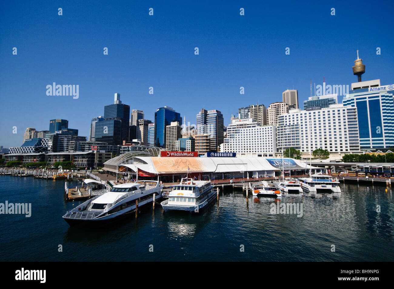 Aquarium Darling Harbour Sydney // SYDNEY, Australie — L'Aquarium de Darling Harbour à Sydney est en vedette avec l'horizon de la ville en arrière-plan. Le front de mer animé comprend divers bateaux amarrés, avec le Sydney Tower Eye visible parmi les bâtiments imposants sous un ciel bleu clair. Banque D'Images