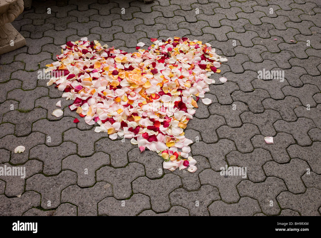 Coeur de pétales de fleurs à Lucerne, Suisse Banque D'Images